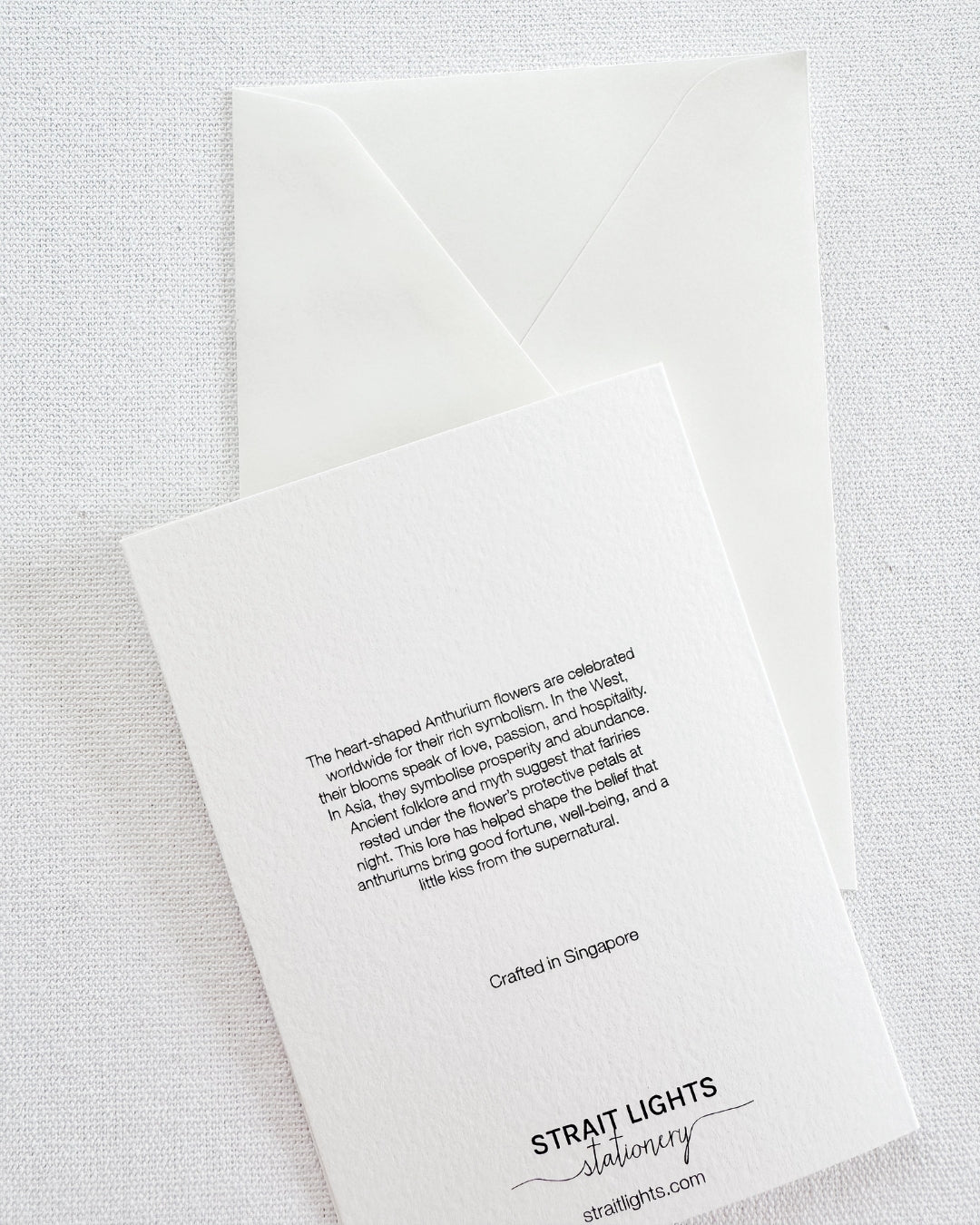 Monstera Greeting Card