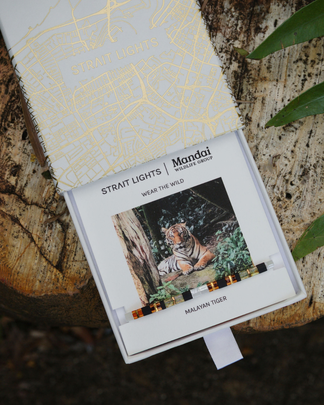 Strait Lights x Mandai Tiger Bracelet