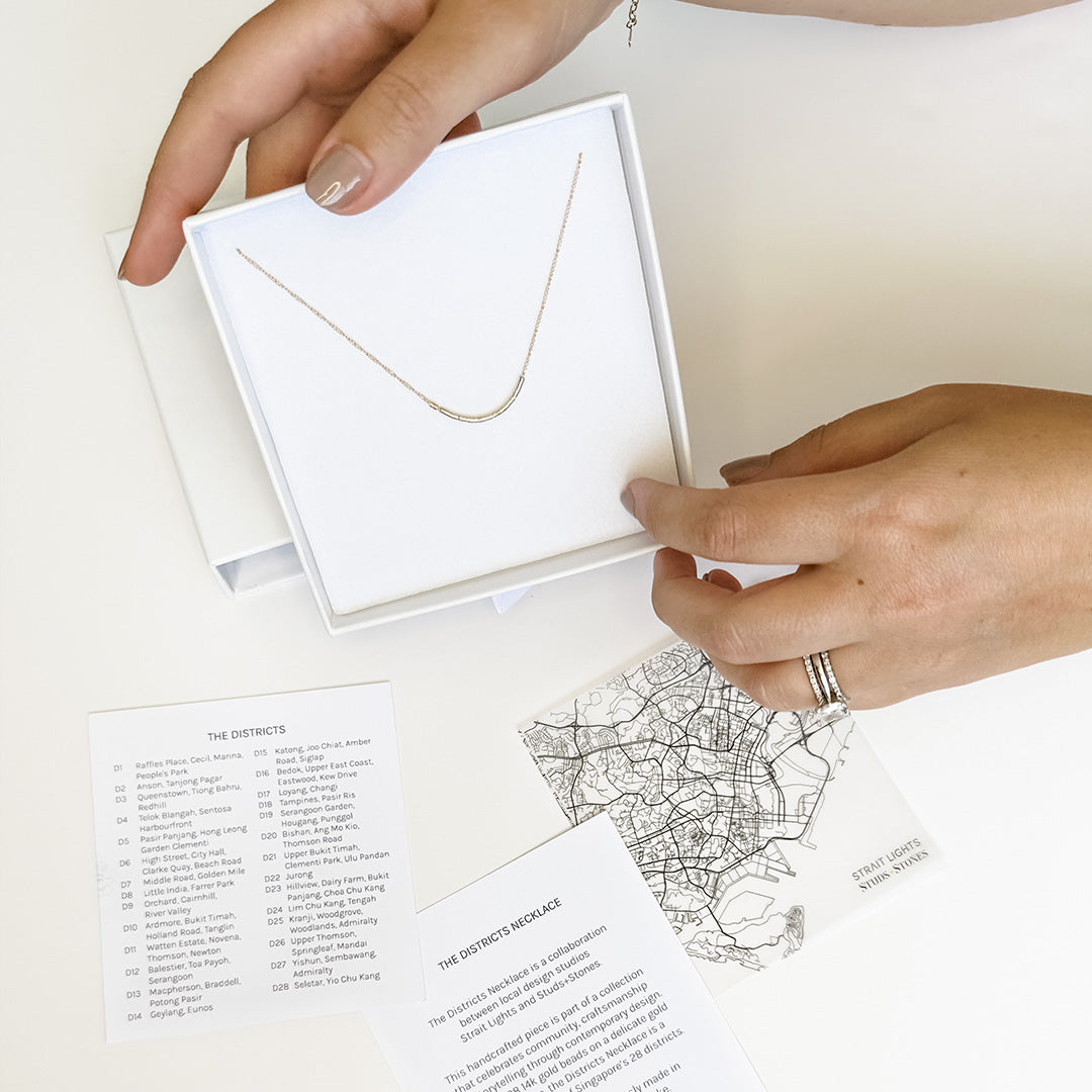 The Districts Necklace