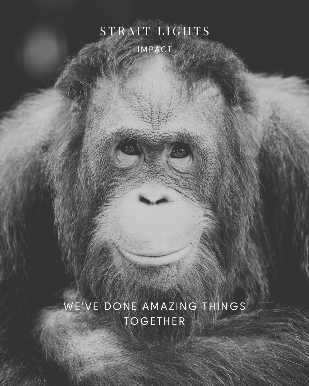 We've Done Amazing Things Together