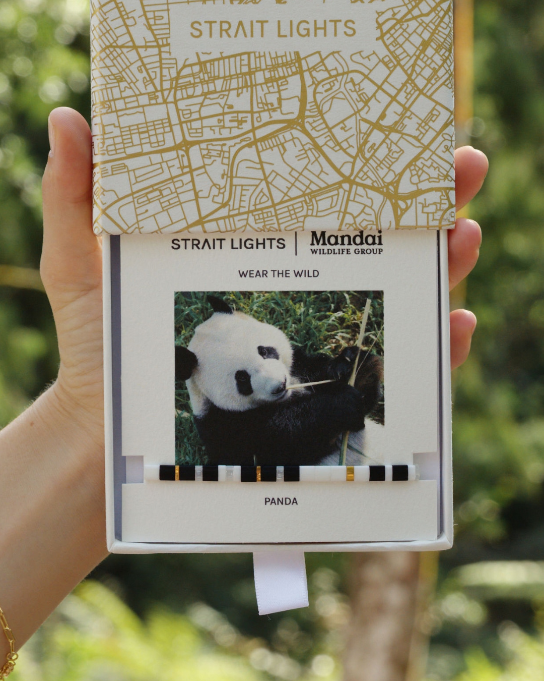Strait Lights x Mandai Giant Panda Bracelet