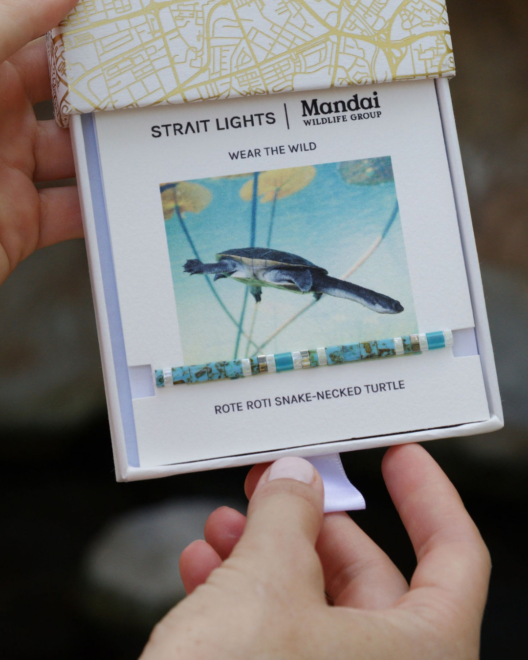 Strait Lights x Mandai Rote Snake-necked Turtle Bracelet