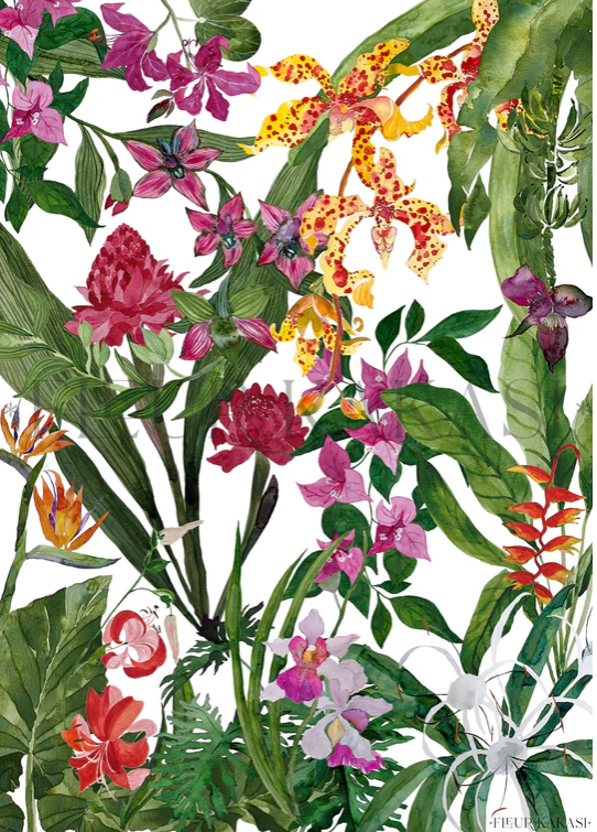 Fleur Kakasi Teatowels