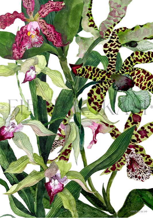 Fleur Kakasi Teatowels